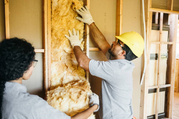 Best Cellulose Insulation  in USA